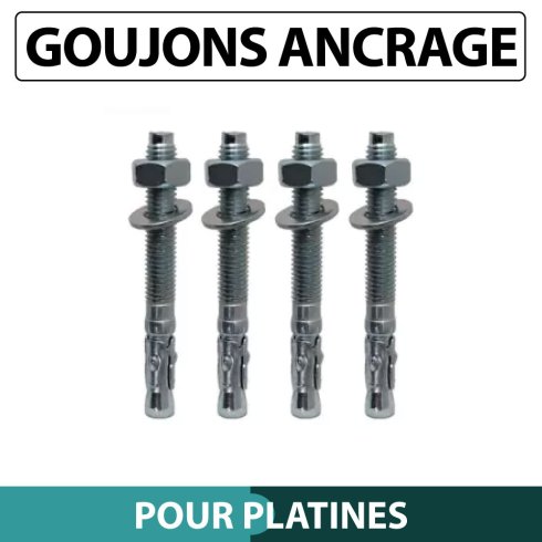 Goujon_ancrage_M10_Platine_de_Poteau_JARDIPREMIUM_Lot_de_4