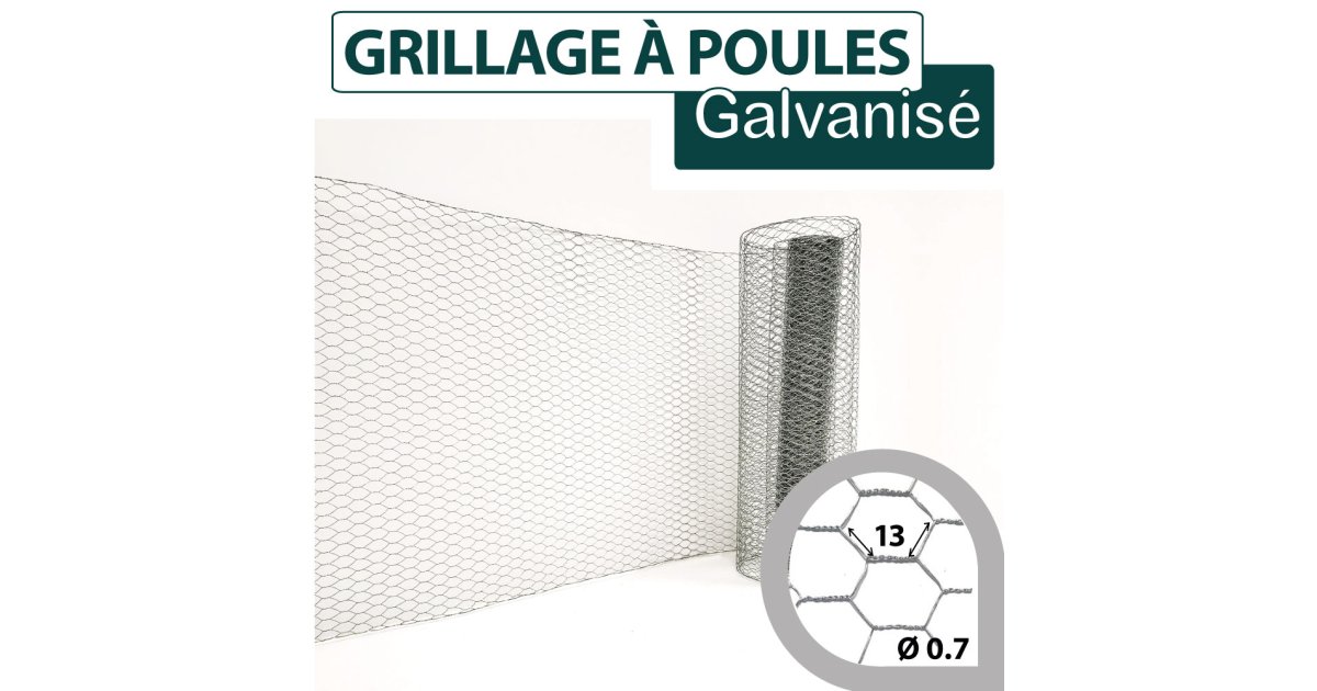 Grillage à Poules Galvanisé - Maille 13mm
