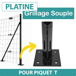 Platine_pour_Piquet_T_Grise