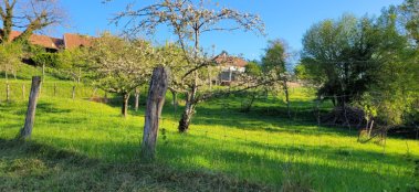 Grillage_a_mouton