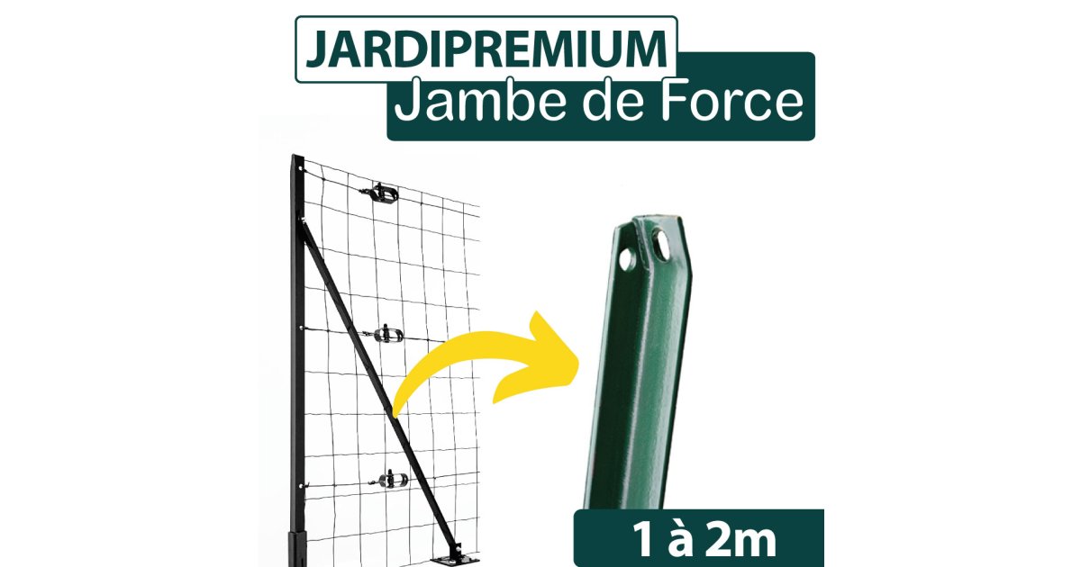 Jambe de Force L Anticorrosion — free download