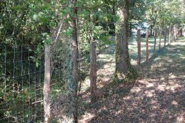 Grillage_gibier_bord_de_route